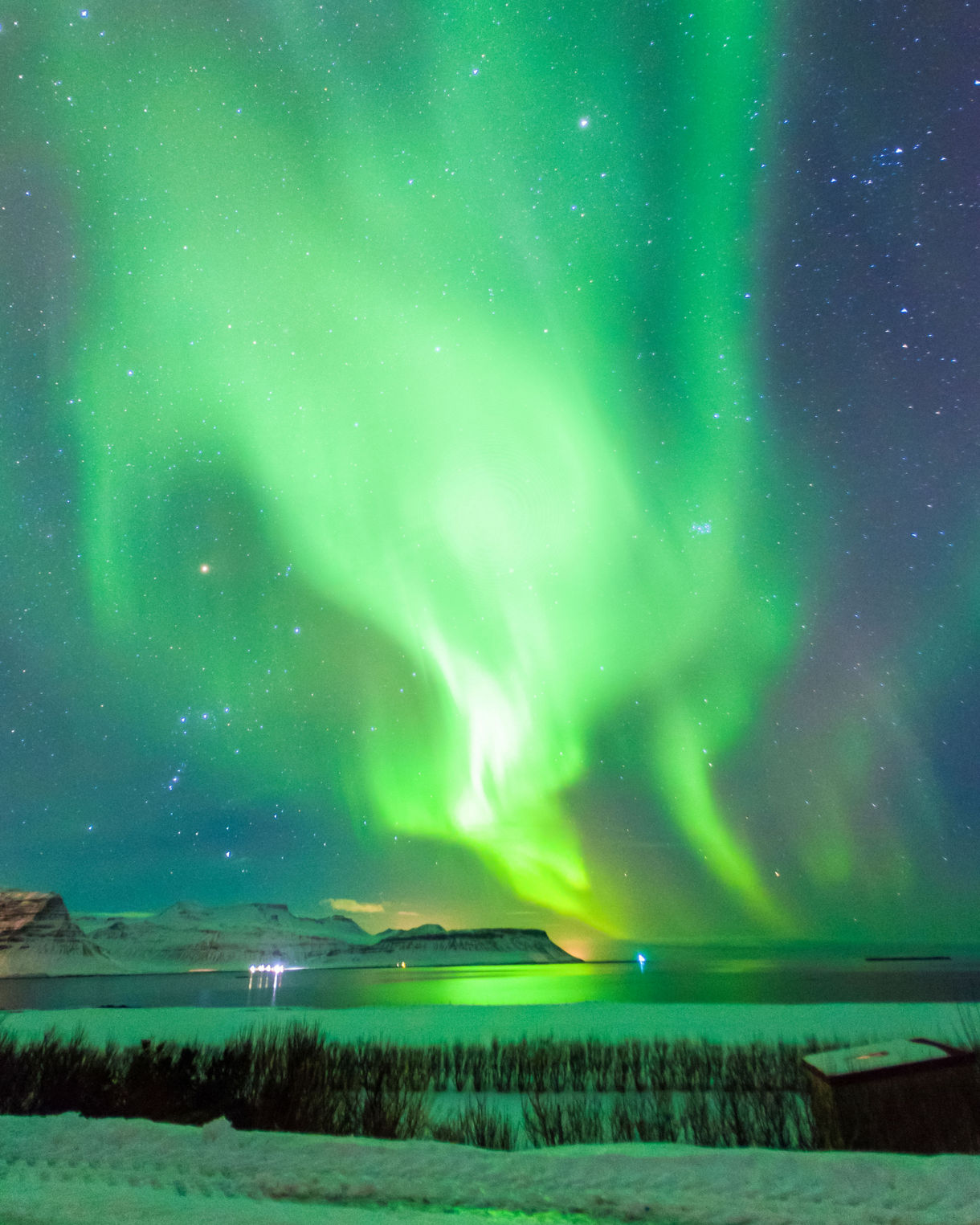 Aurora Borealis over Iceland, with bright green light waves illuminating a starry night sky above snowy mountains and a calm fjord.