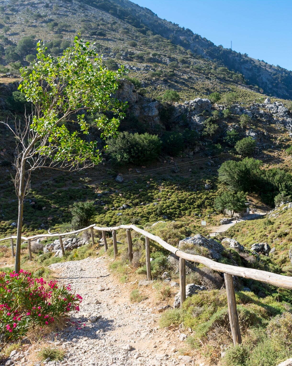 Mountain path lined with a wooden railing in Imbros Gorge, Crete, surrounded by rocky hillsides, sparse greenery and a bright blue sky.