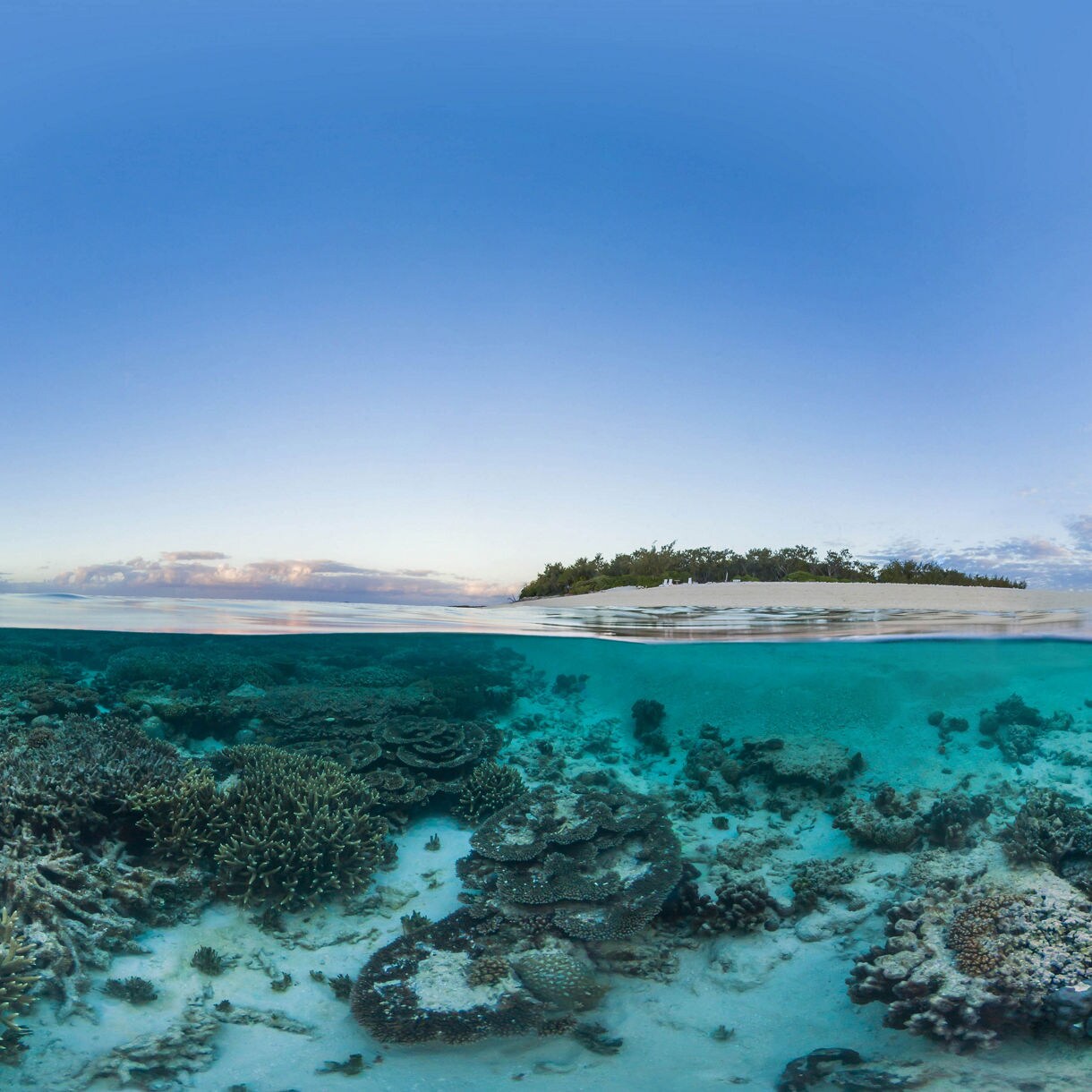 Split-view image showing a shallow coral reef under clear turquoise water with a sandy island and soft clouds glowing in early morning light above the surface.