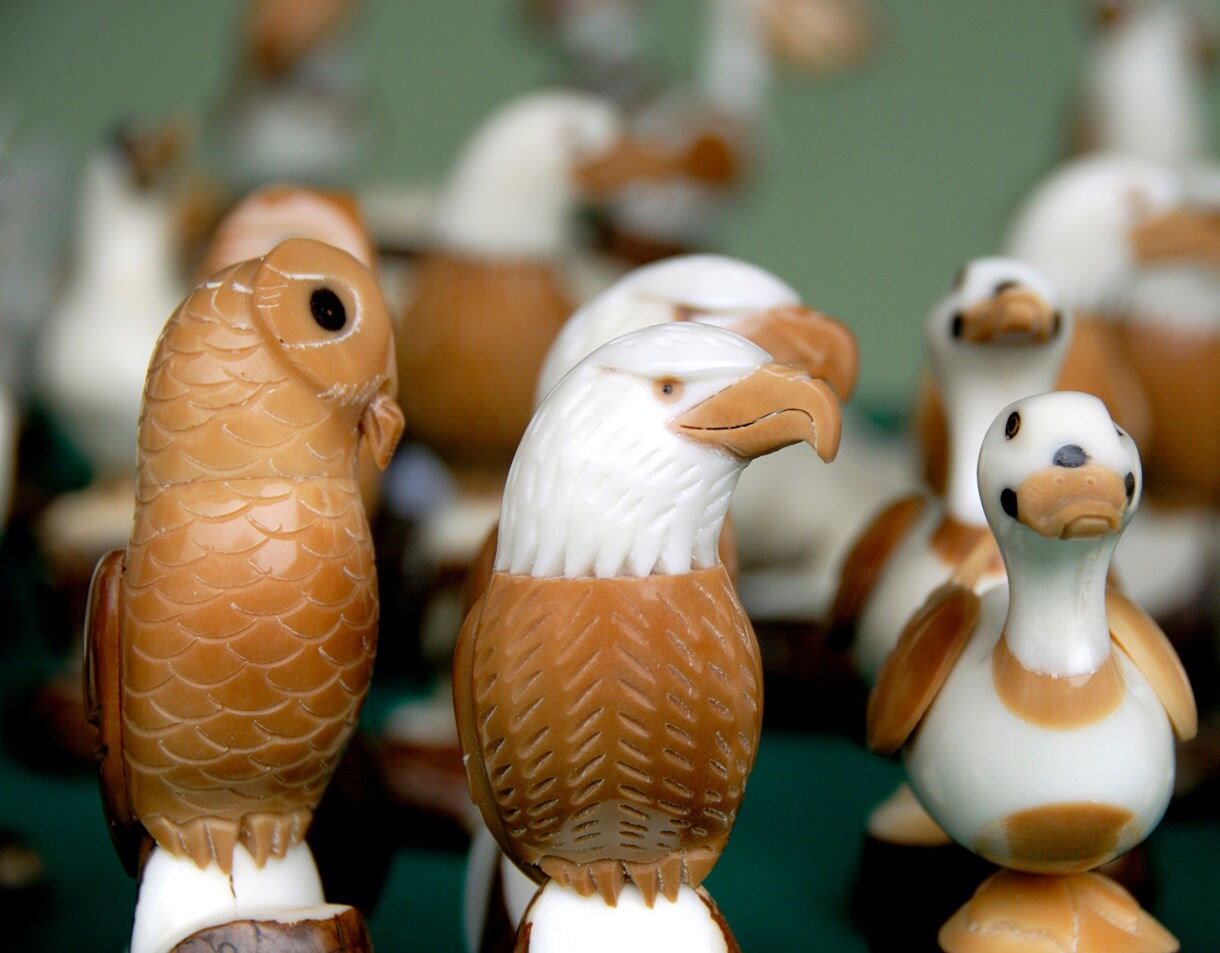 Close-up of carved bird figurines made from polished tagua nuts, featuring smooth white bodies and brown etched detailing.
