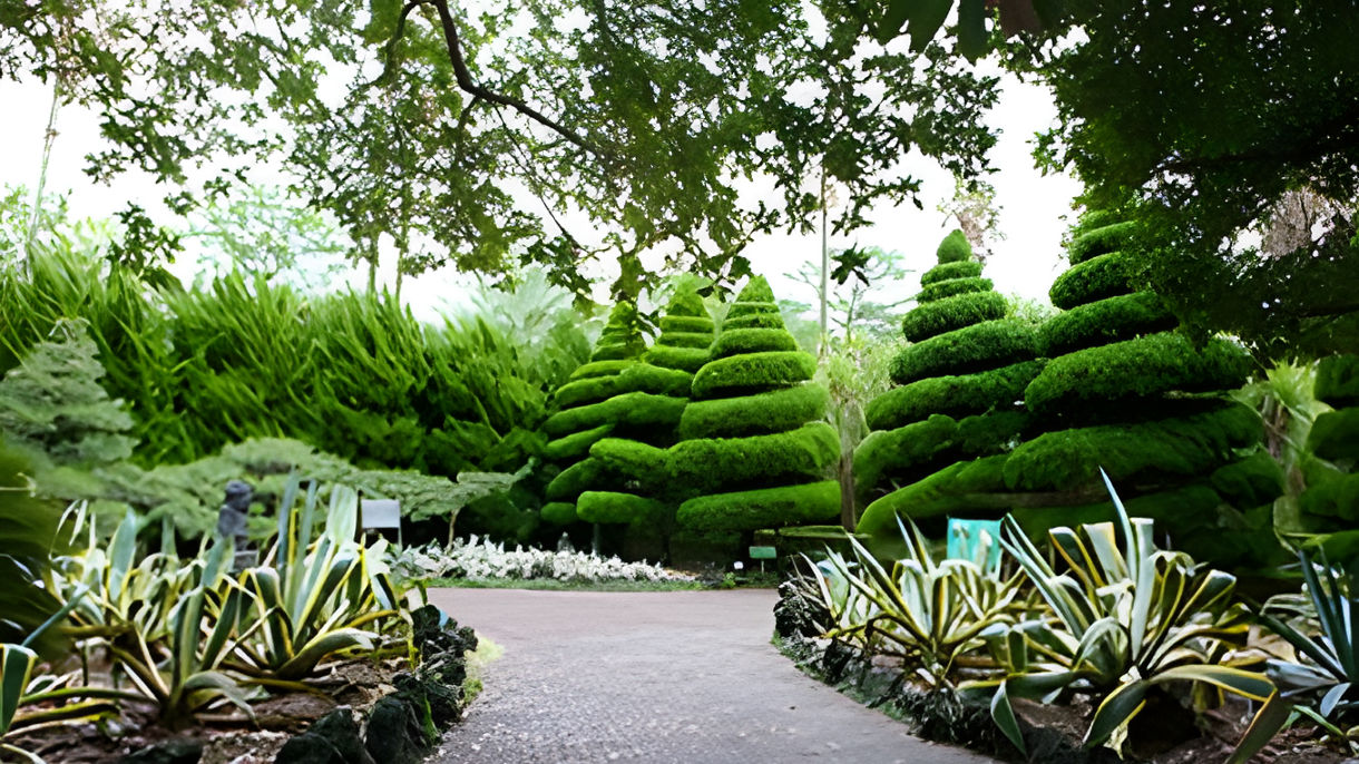 Hallim Park & O'Sulloc Tea Museum
