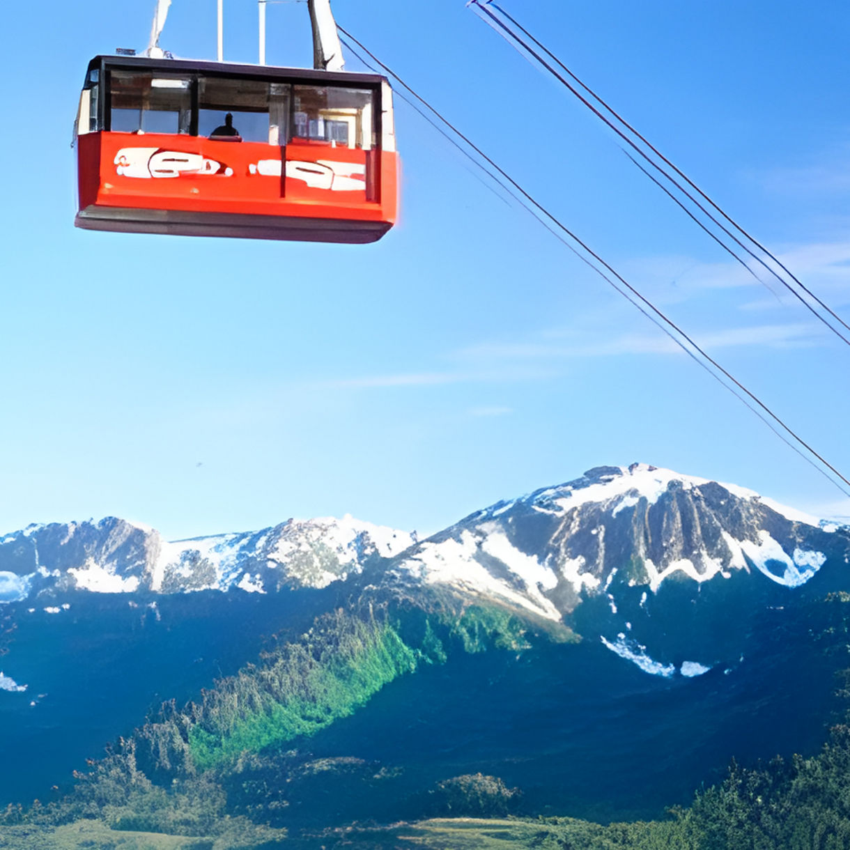 Goldbelt Tram On Your Own
