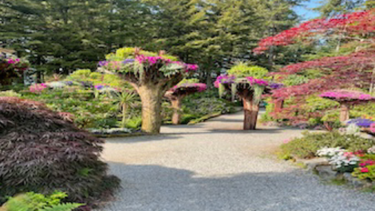 Grand Tour by Land: Glacier Gardens & Mendenhall Glacier