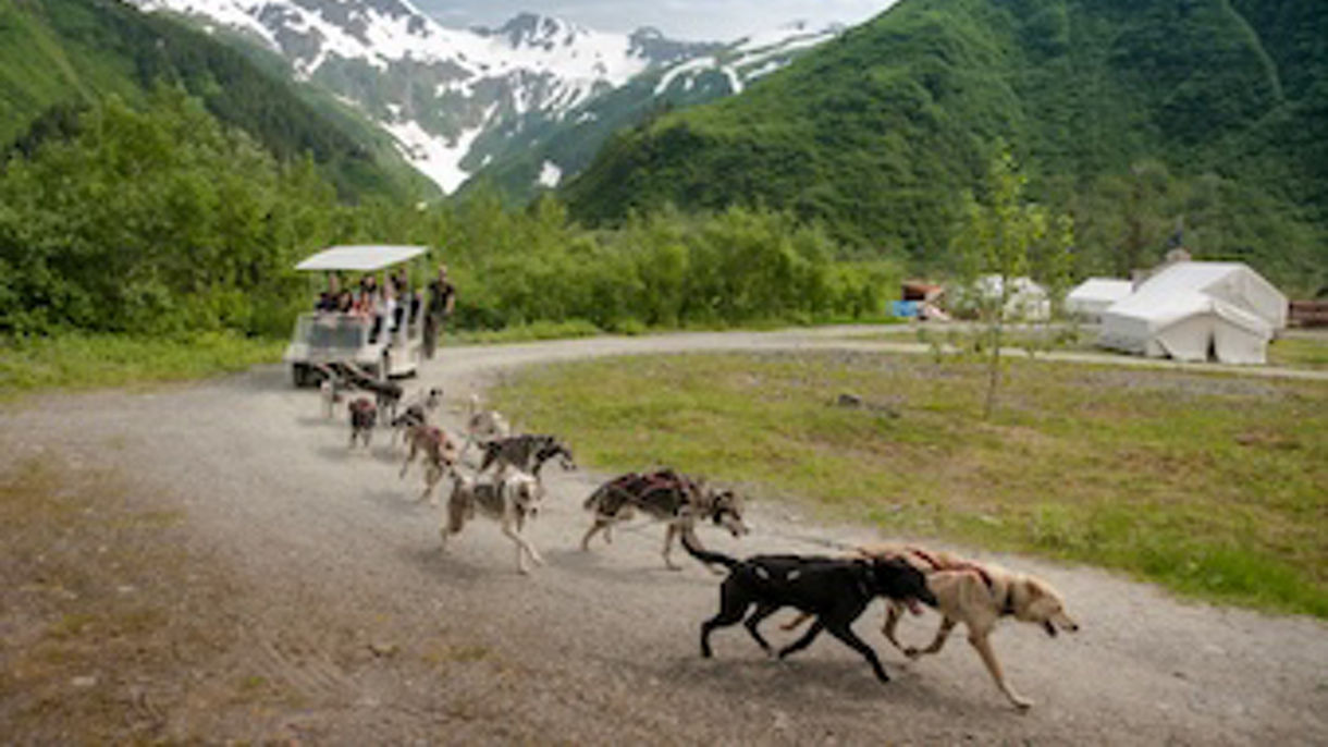 Dog Sled Summer Camp