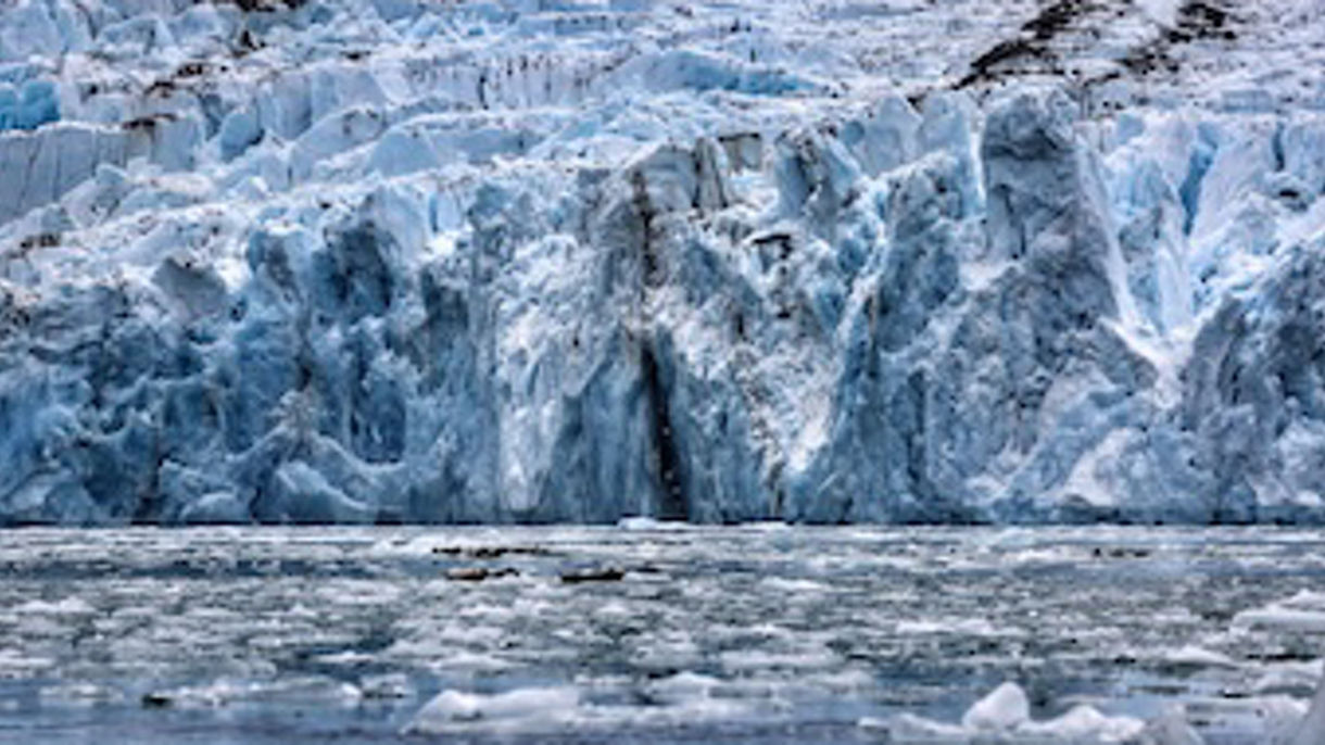 Tracy Arm Fjord & Glacier Explorer Cruise