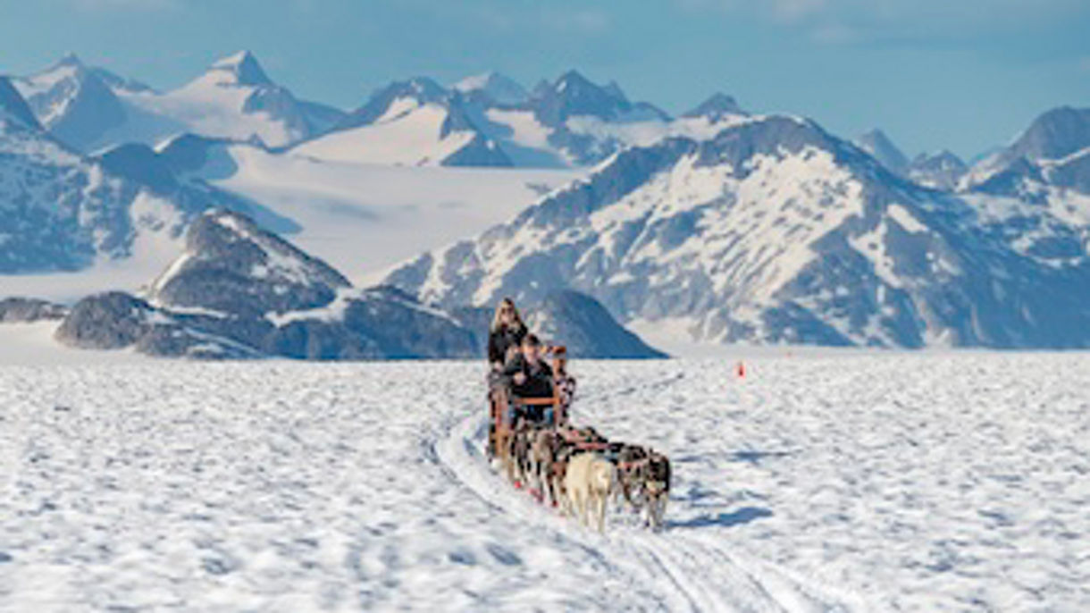 Local Connections: Dog Sledding & Glacier Adventure by Helicopter Created by Iditarod Musher