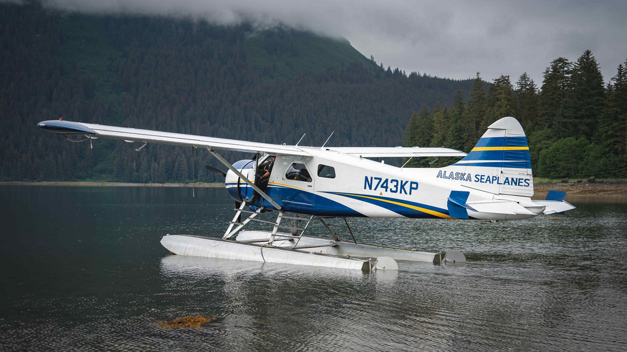 Waterfall Creek Brown Bear Viewing & Flight