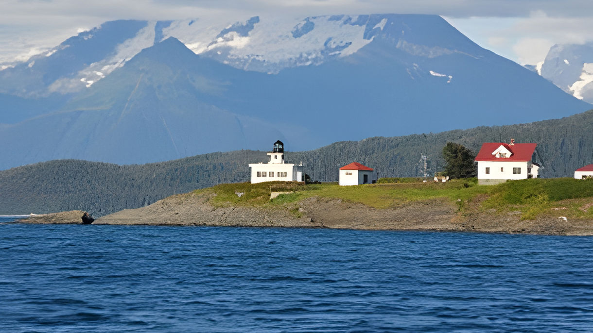 Private Whale Watching - 6 Passengers