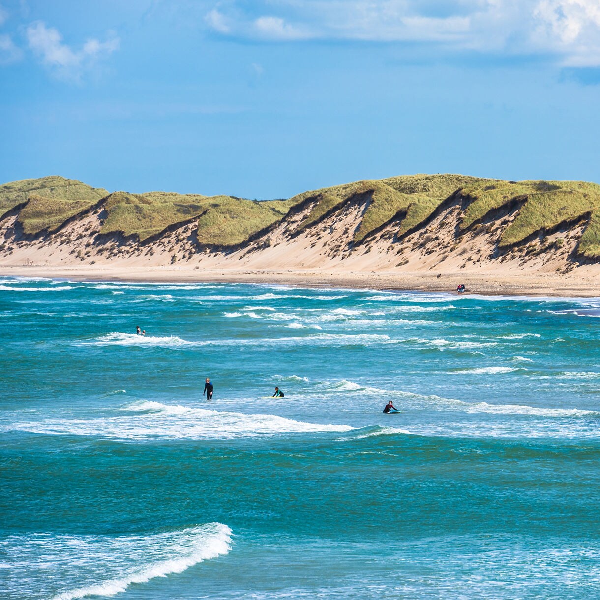 Surfers in the blue waters near sandy dunes on the Jutland coast of Denmark.