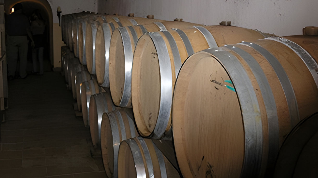 Olympia Gi Winery & Wine Tasting