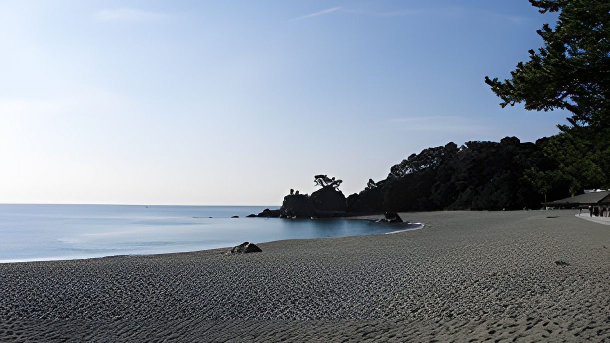 Kochi Castle & Katsurahama Beach