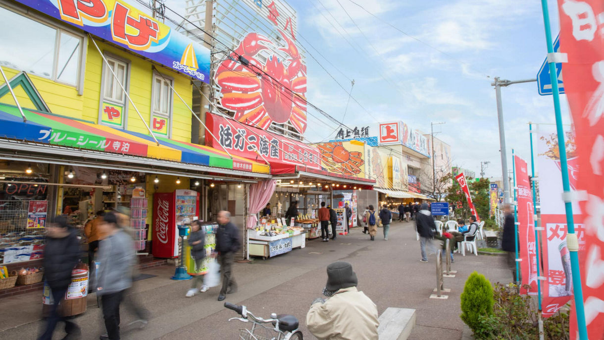 寺泊魚の市場通りと彌彦神社(日本語ガイド)(Guided in Japanese)