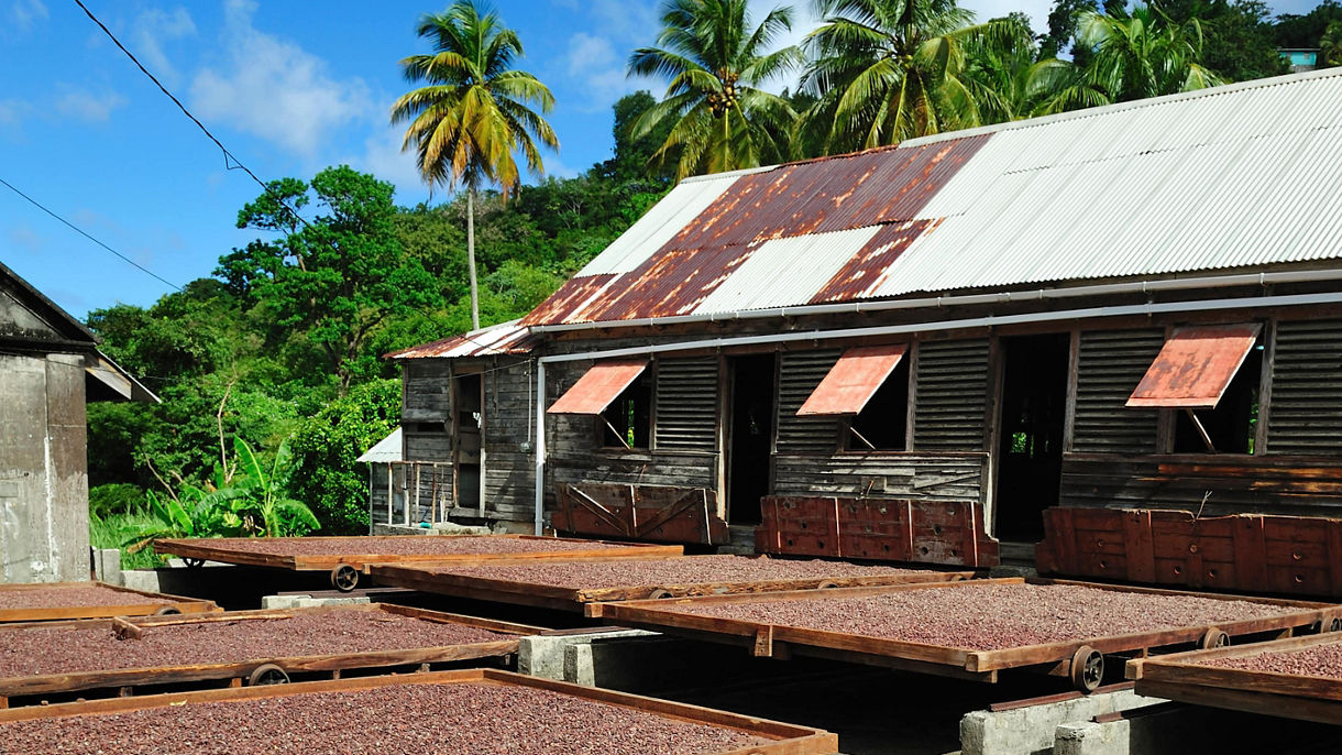 A Taste of Kona