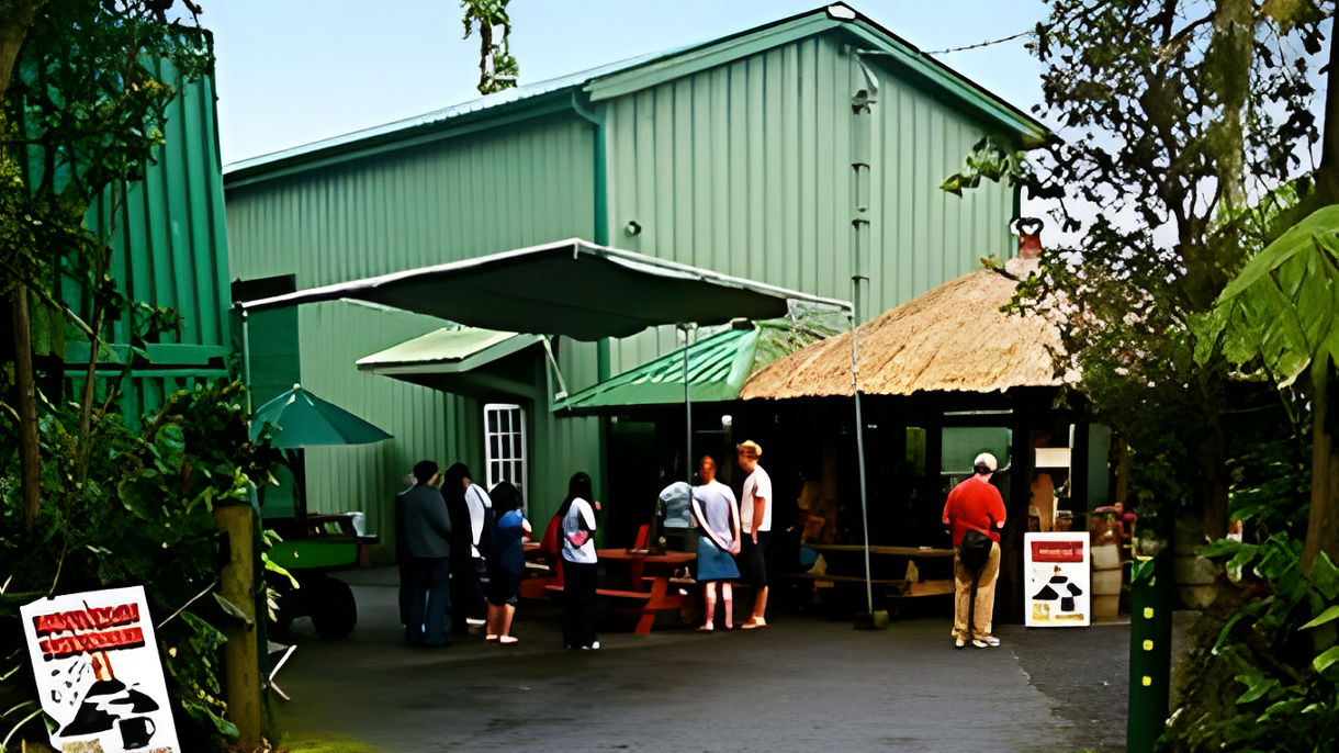 Gold Coast & Cloud Forest