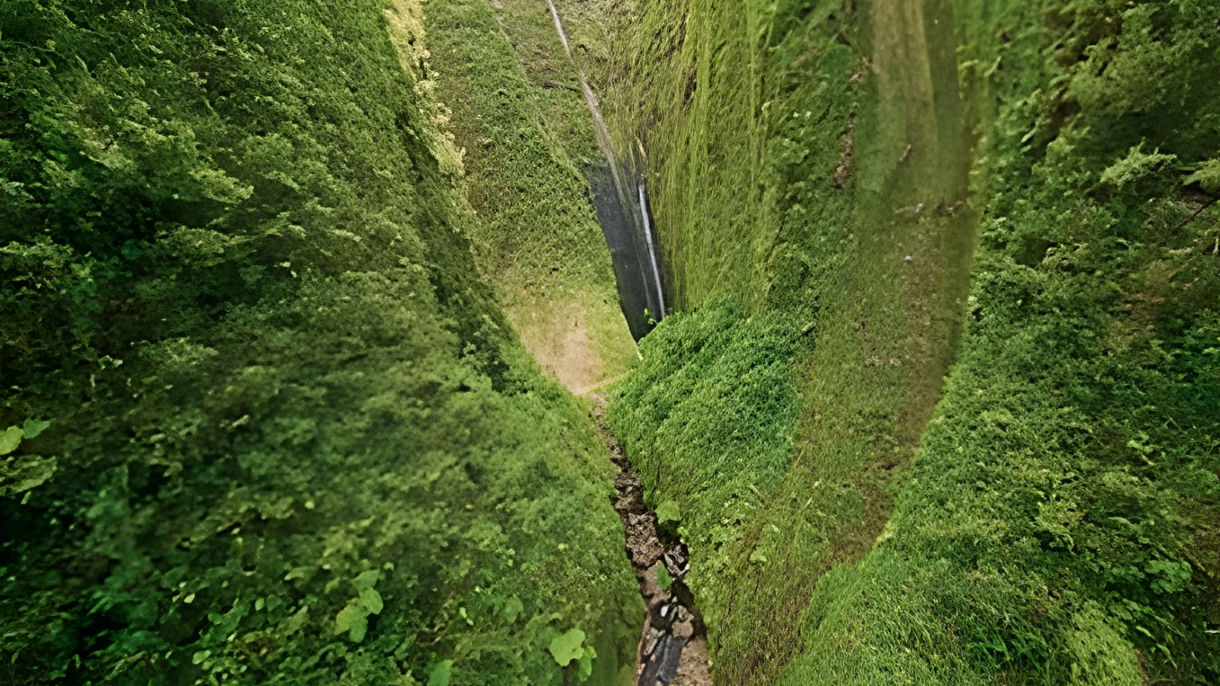 Flight of Aloha Immersive Experience