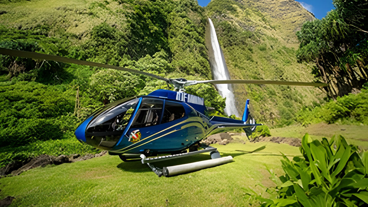 Kohala Coast by Helicopter