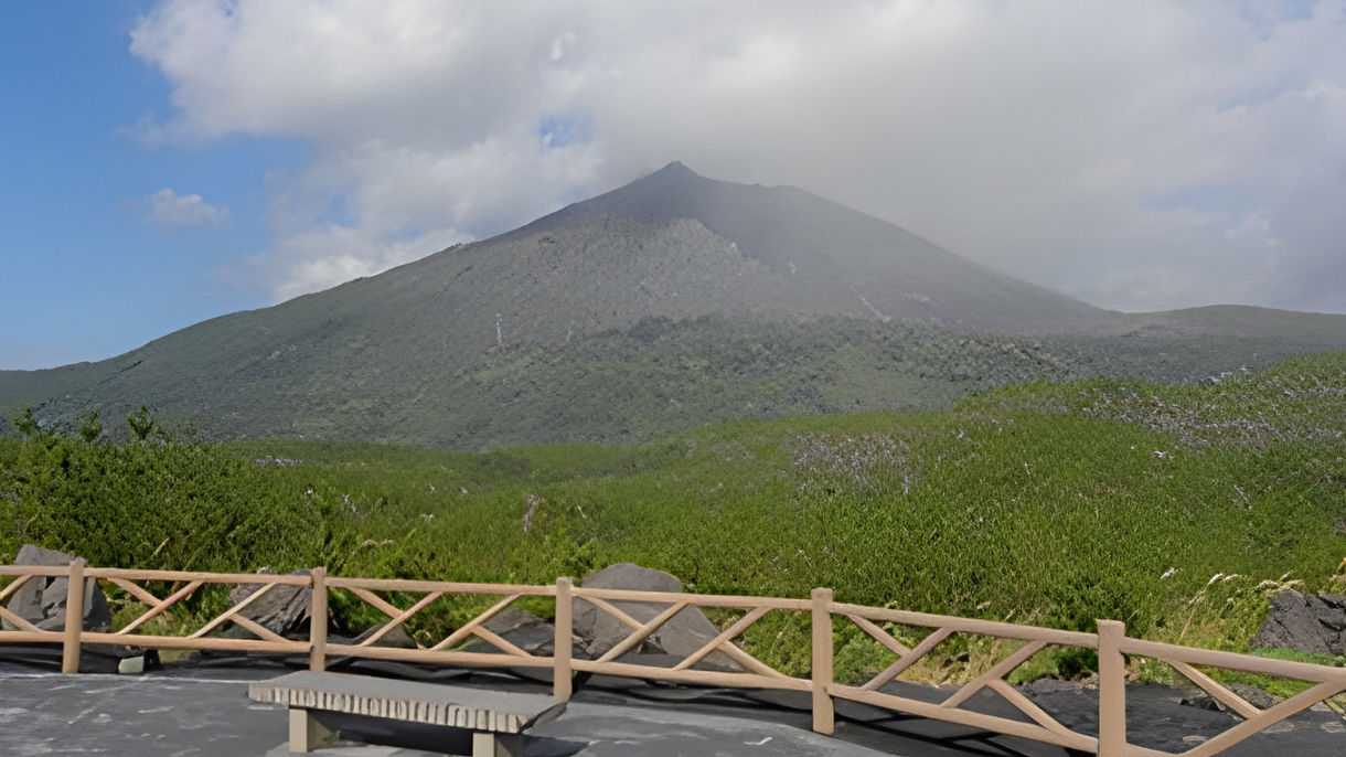 桜島火山と仙巌園（日本語ガイド）(Guided in Japanese)