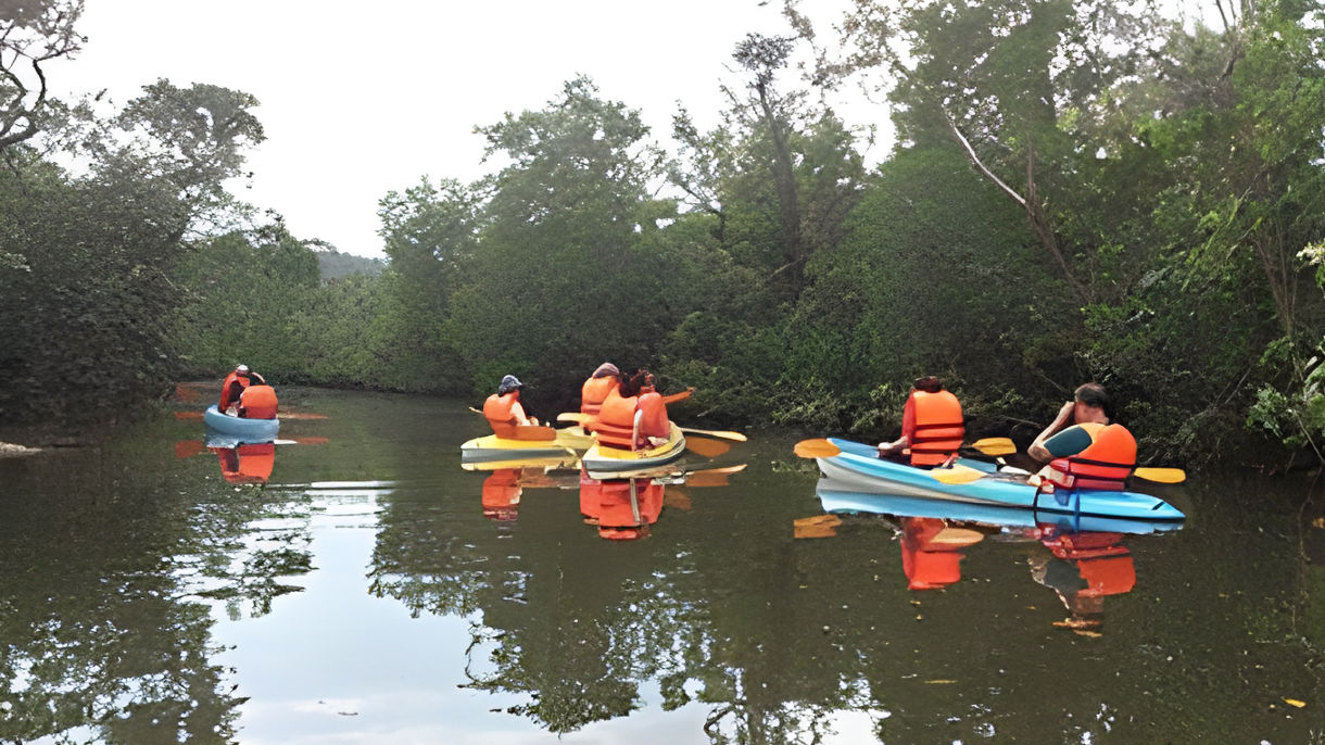 Kayaking at Ream National Park & Sihanoukville