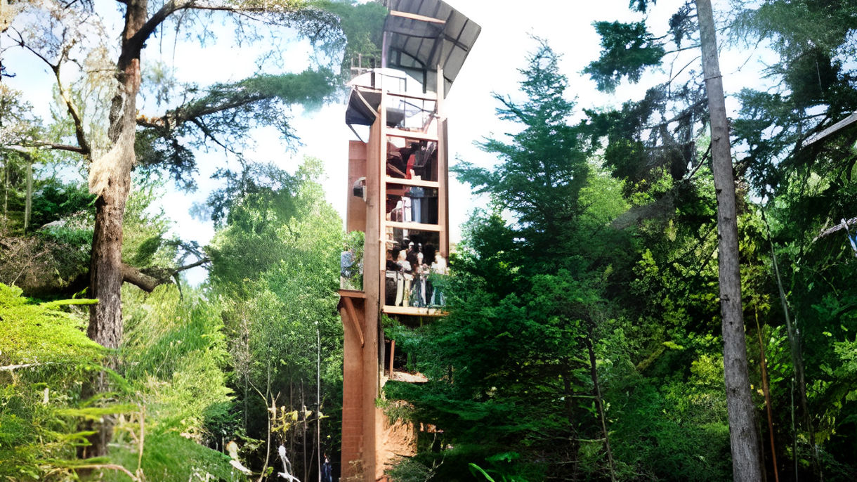 Zipline Adventure Park