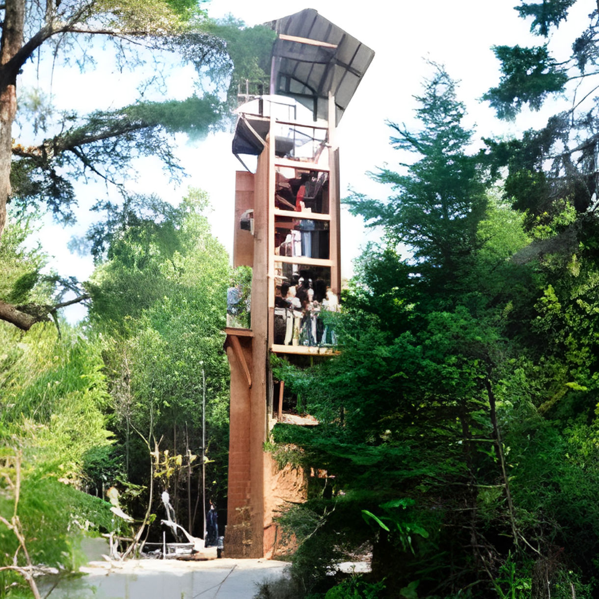 Zipline Adventure Park