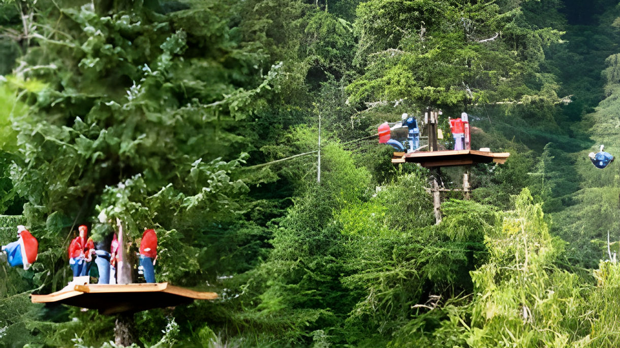 Rainforest Canopy & Zipline Adventure