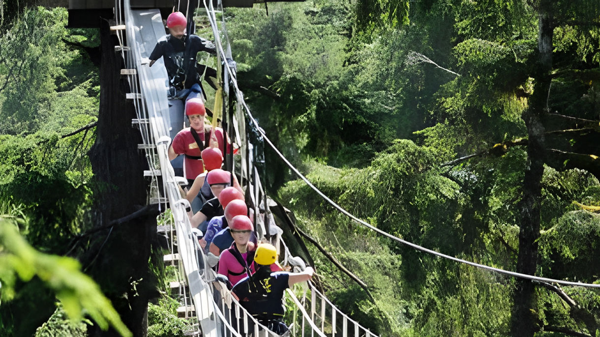 Rainforest Canopy & Zipline Adventure