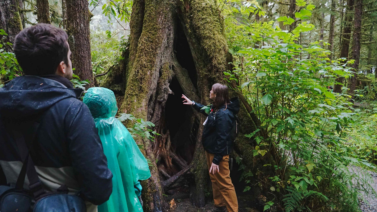 Rainforest Sanctuary Nature Walk & Totem Park