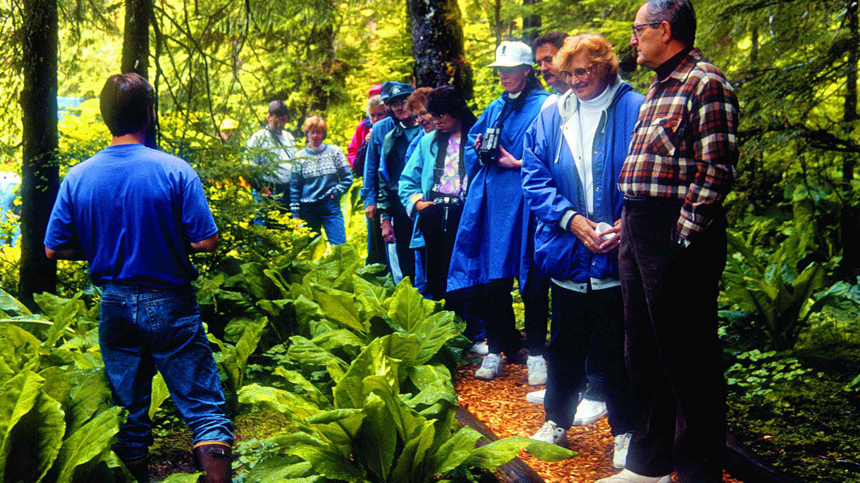 Rainforest Island Nature Walk & Seahawk Adventure