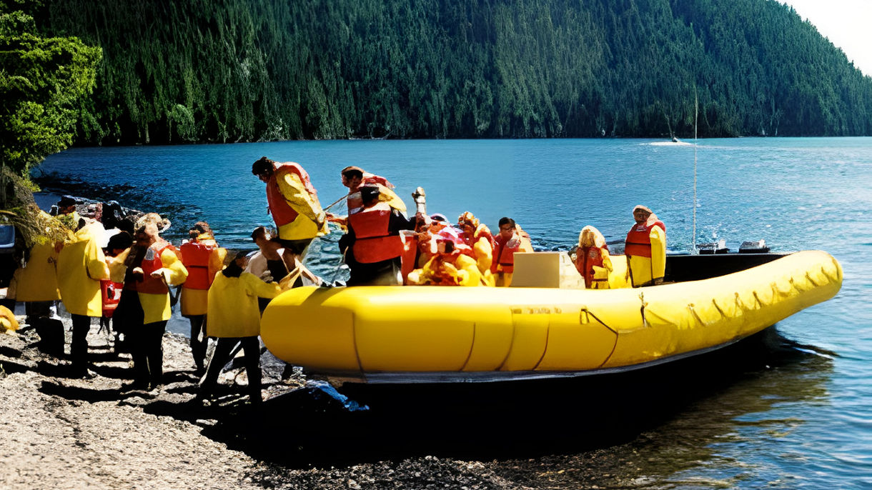 Rainforest Island Nature Walk & Seahawk Adventure
