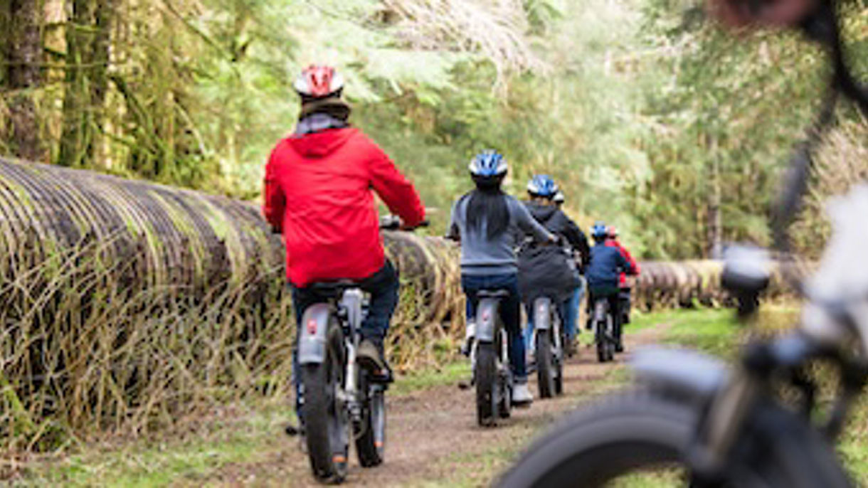 Rainforest Trail E-Bike & Nature Walk