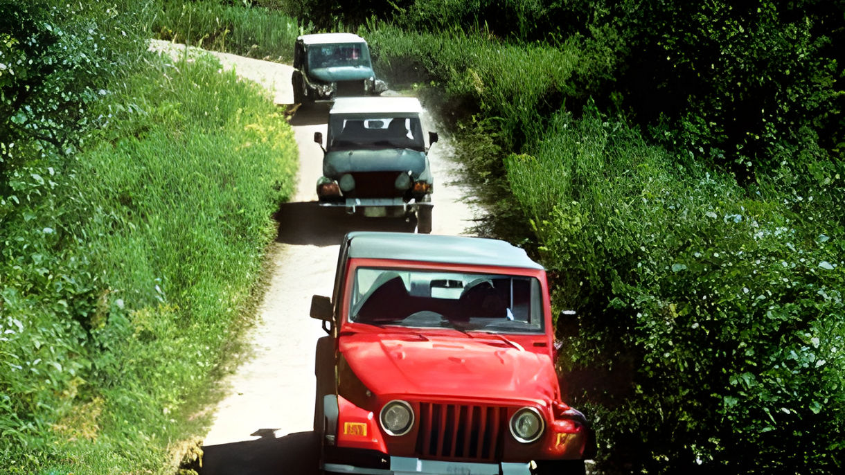 Tongass Rainforest Safari by Jeep & Canoe