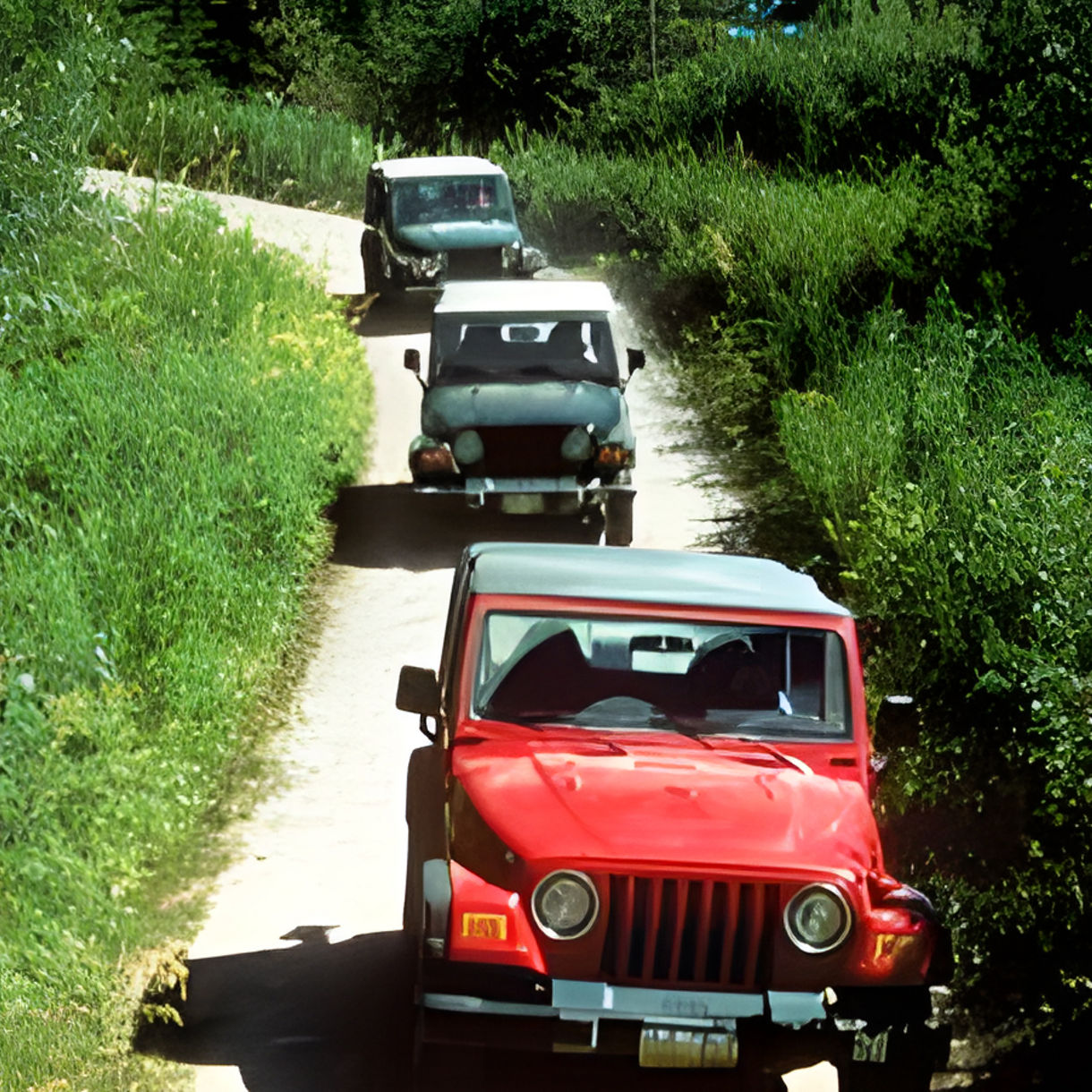 Tongass Rainforest Safari by Jeep & Canoe