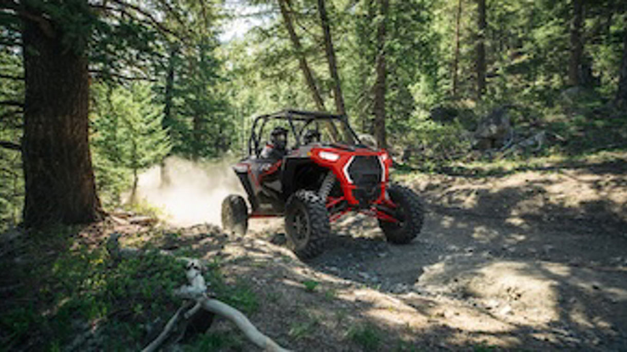 Adventure Kart Expedition