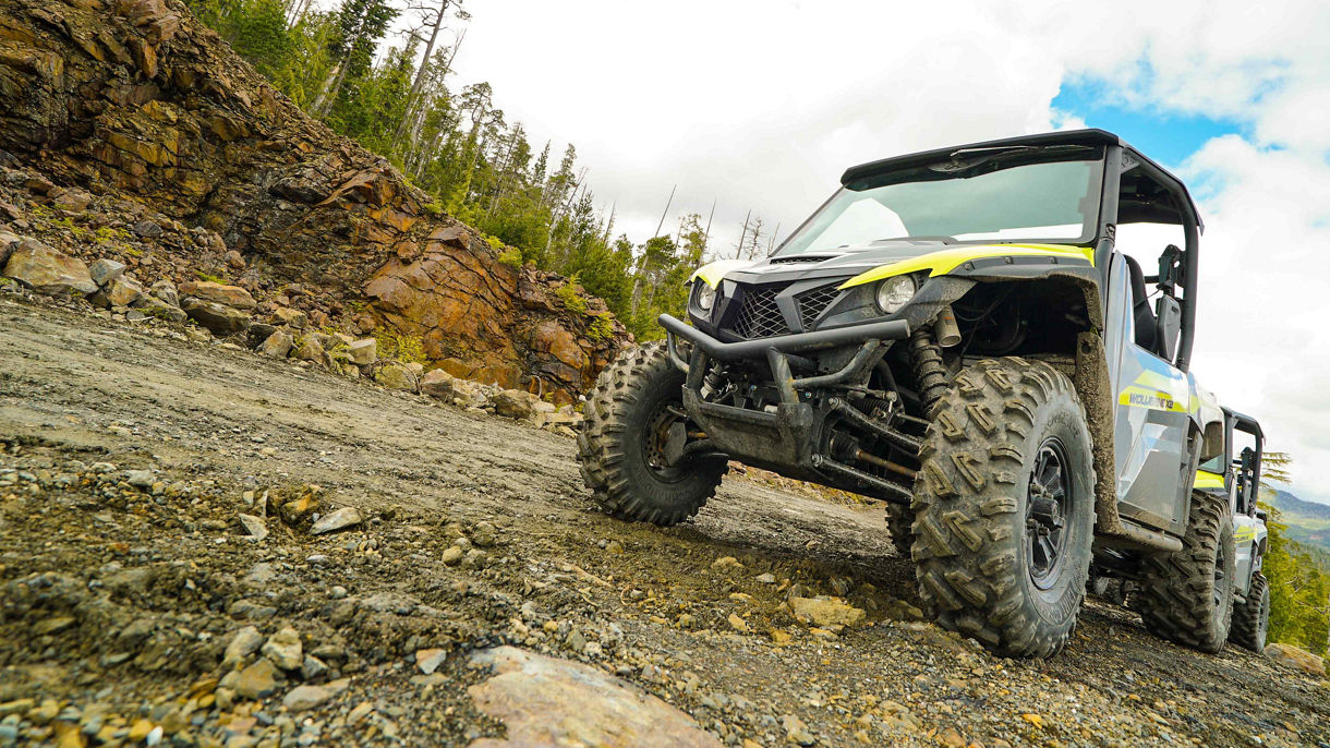 Off-Road UTV Safari, Cruise, Crab & Craft Beer
