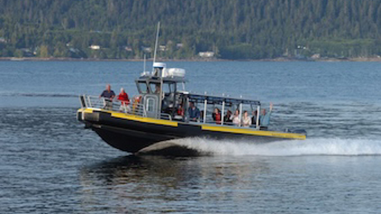 Coastal Wildlife Cruise