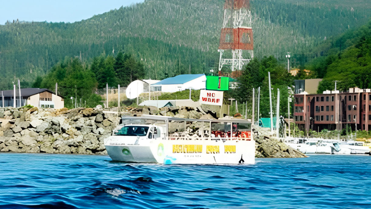 Town & Harbor Duck Tour