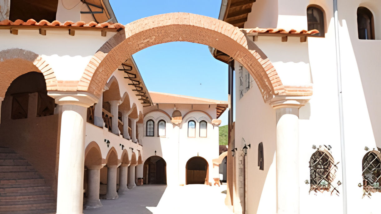 Turkish Vineyard & Wine Tasting