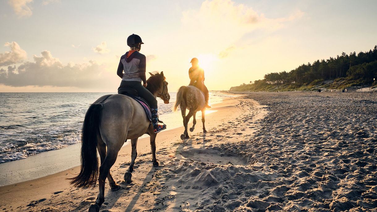 Horseback Riding to the Beach