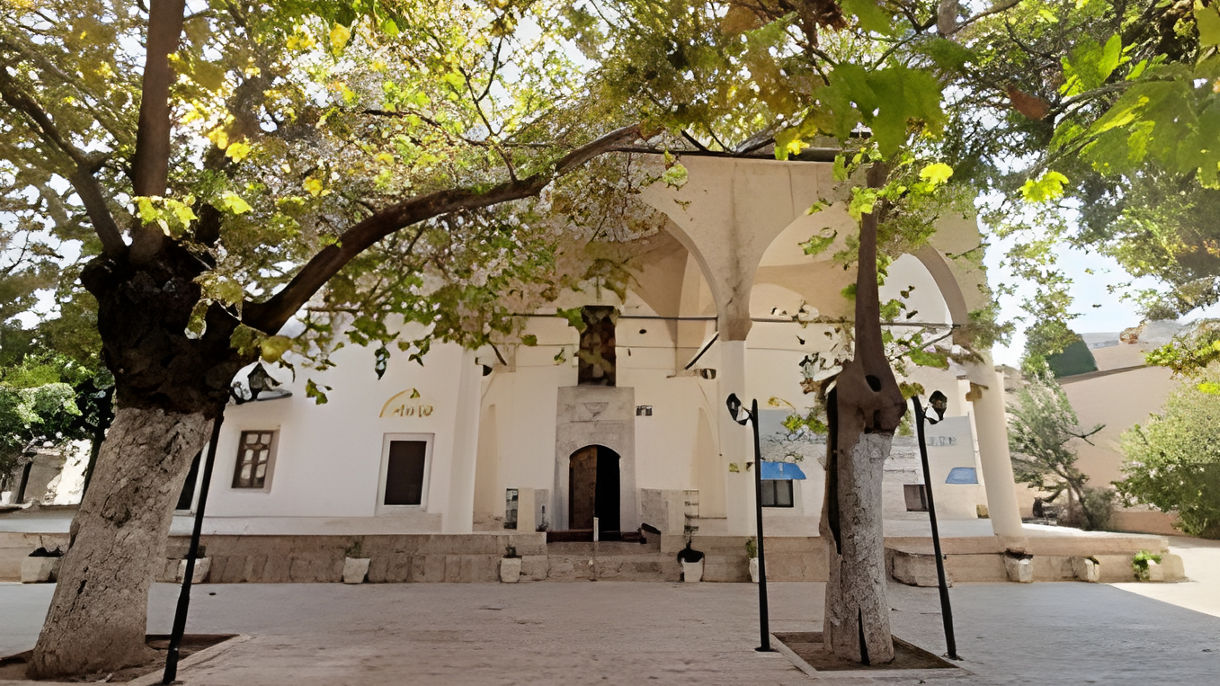 Kusadasi by Private Vehicle - Car Class Half Day (With Guide)