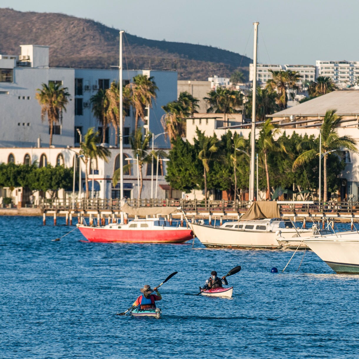 Two kayakers glide across La Paz Bay with moored sailboats, palm trees and whitewashed buildings along the waterfront.