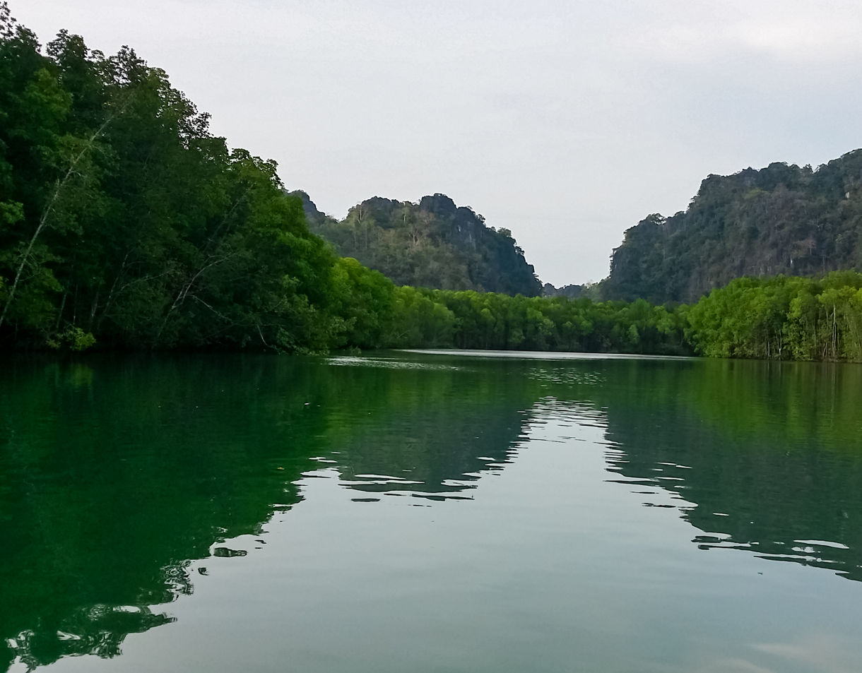 Tranquil green river winding through dense mangrove forest with limestone hills in the background under an overcast sky.