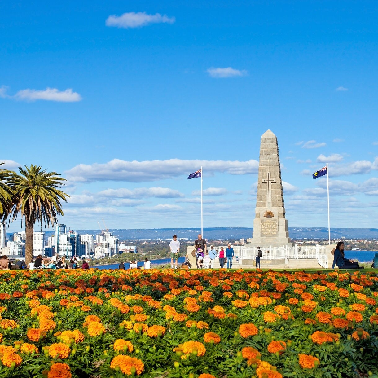 Flower garden with orange blossoms leading to the State War Memorial in Kings Park overlooking Perth skyline under clear blue sky.