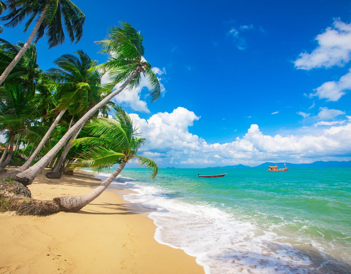 Tropical beach on Koh Samui with curved palm trees, golden sand, turquoise water and small boats floating offshore.