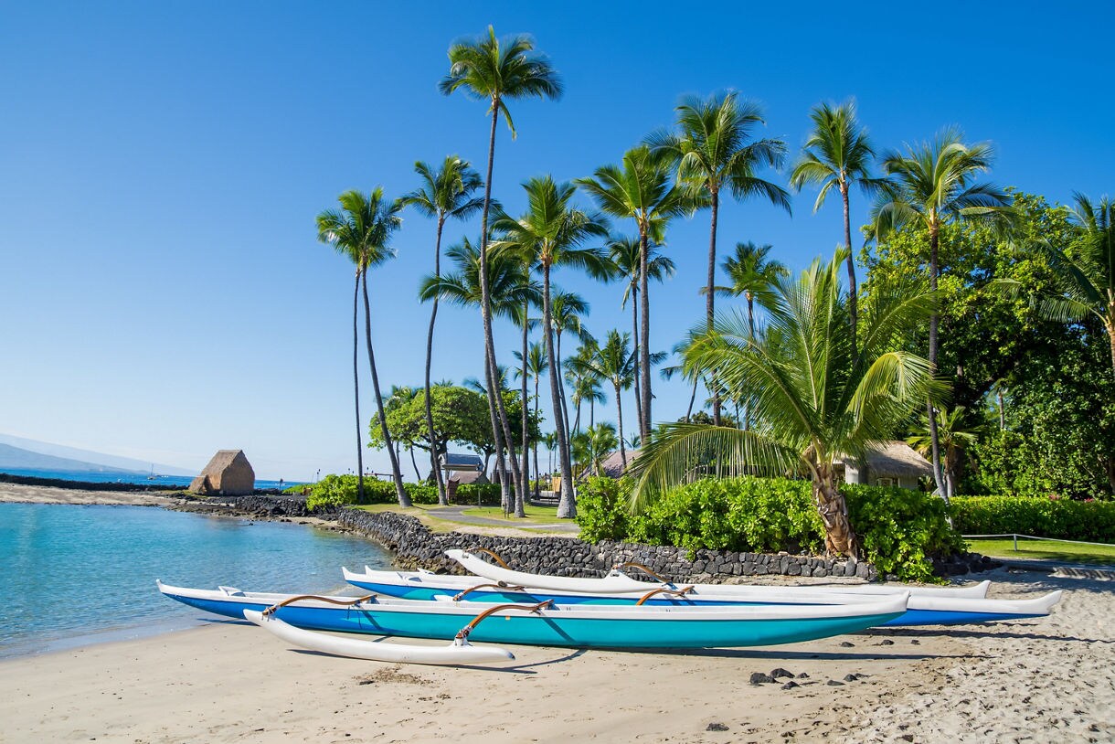 Bright blue outrigger canoes resting on a sandy Kona beach bordered by palm trees and clear turquoise water.