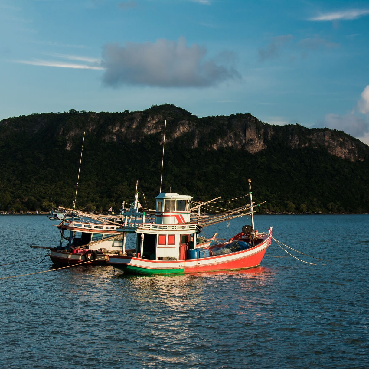 Two small brightly painted fishing boats floating on quiet blue water with a tree-covered mountain rising in the background under soft afternoon light.