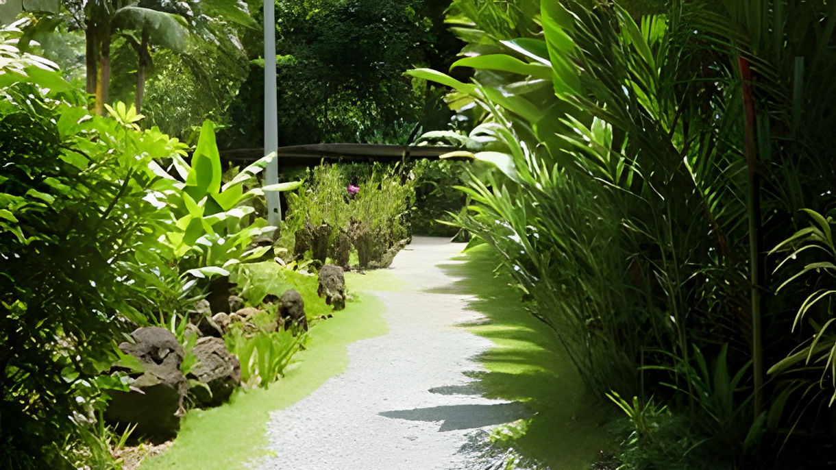 Kula Eco Park Tour