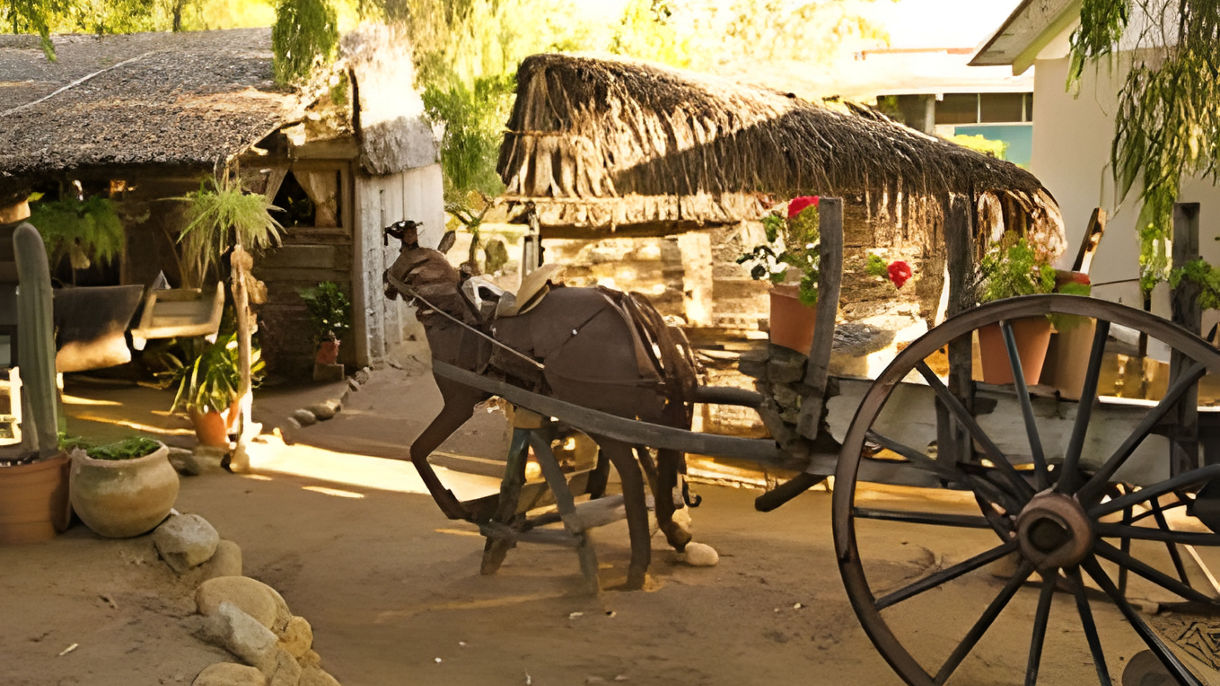 Hotel California & Todos Santos