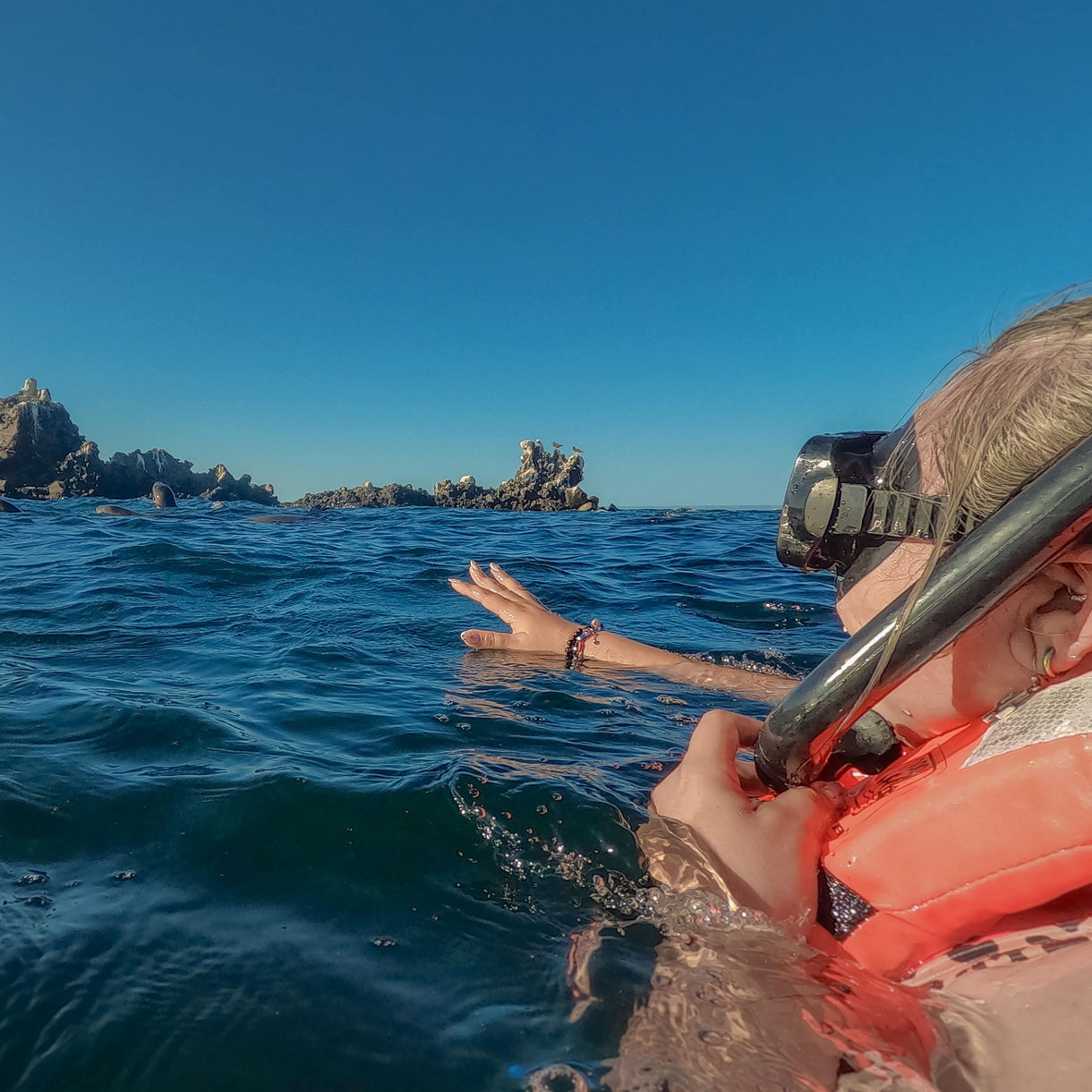 Snorkeling with Sea Lions
