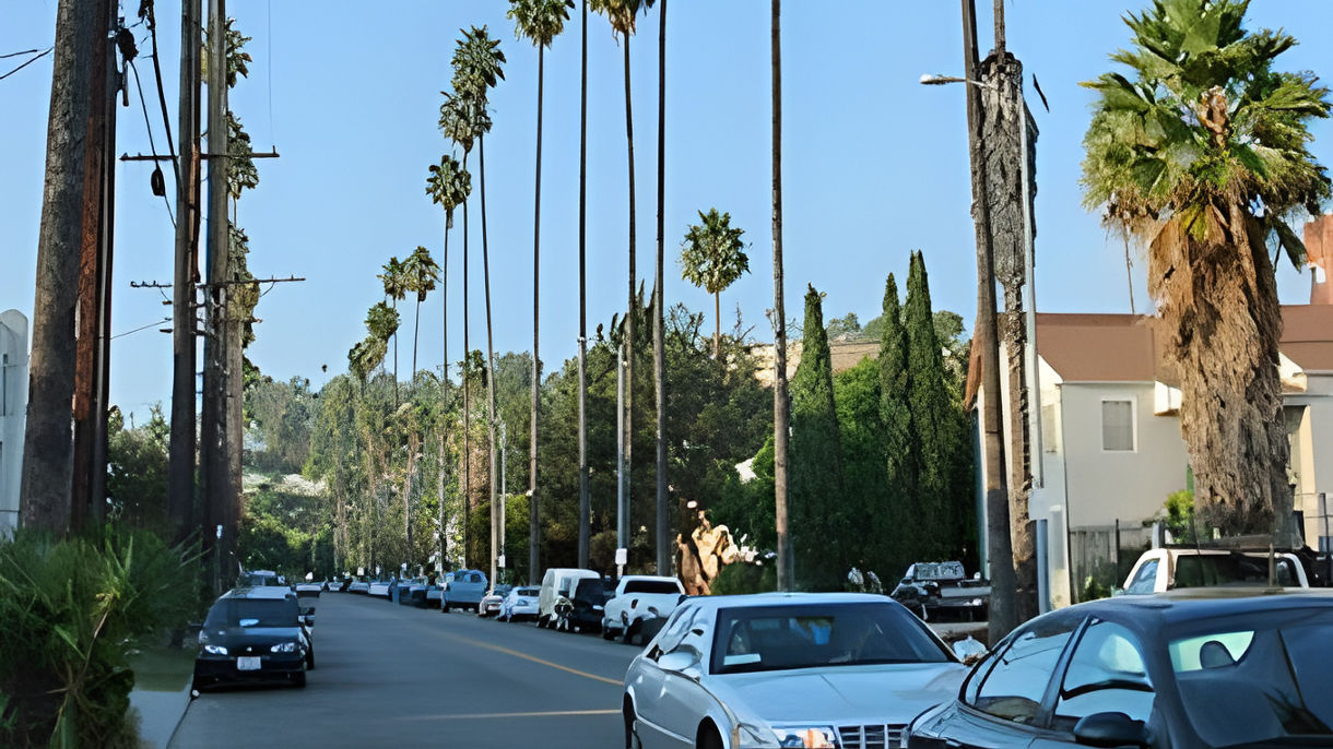 Easy Los Angeles