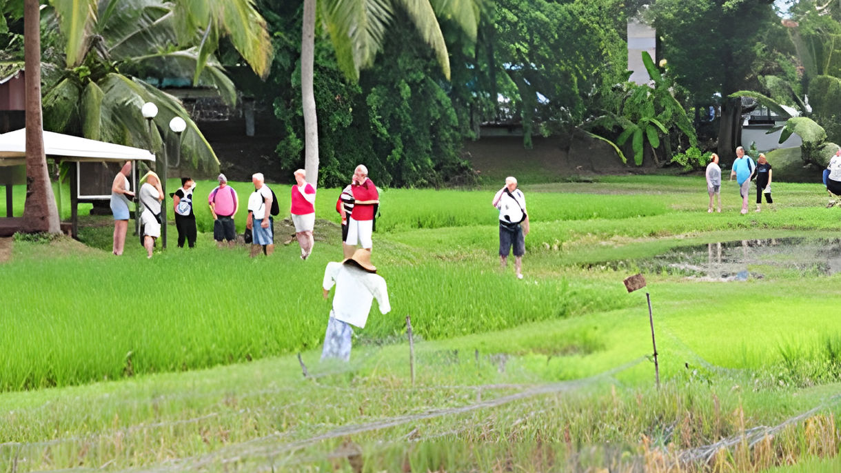 Rice Museum, Cable Car, Craft & Cultural Complex
